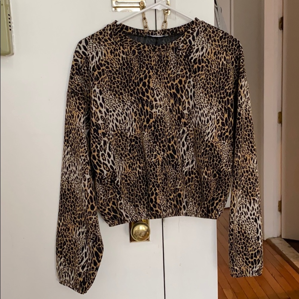 Zara Cropped Cheetah Sweater